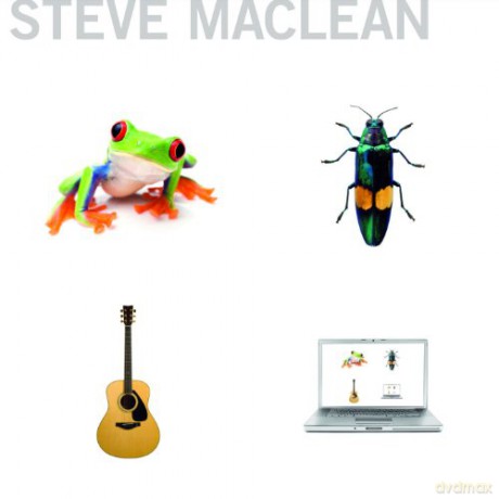 Steve Maclean: Frog Bug Guitar Computer [CD]