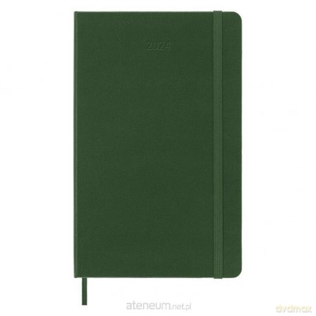 Kalendarz 2024 tygodniowy L tw. Myrtle Green [KALENDARZ]