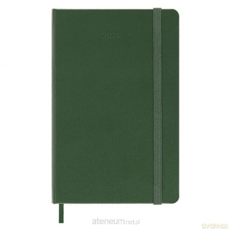 Kalendarz 2024 tygodniowy P tw. Myrtle Green [KALENDARZ]