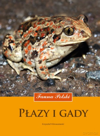 Płazy i gady. Fauna Polski - Krzysztof Klimaszewski [KSIĄŻKA]