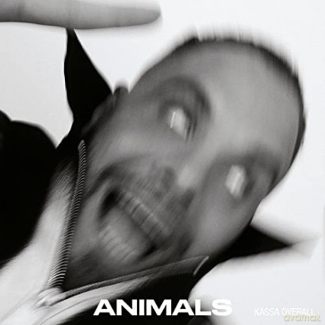 Kassa Overall: Animals (Limited) [Winyl]