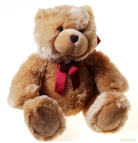 ANEK MASKOTKA MIŚ PLUSZOWY 35cm KTSB4356 [ZABAWKA]