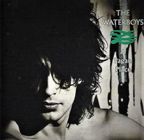 Waterboys: A Pagan Place [CD]