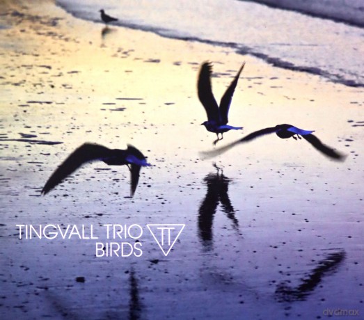 Tingvall Trio: Birds [CD]
