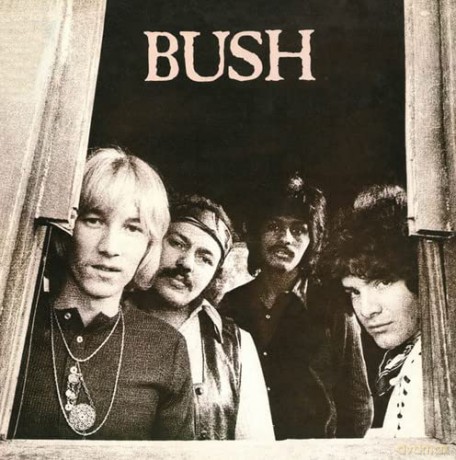 Bush: Bush [CD]