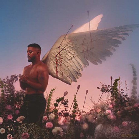 Slimane: Chroniques D'Un Cupidon [CD]