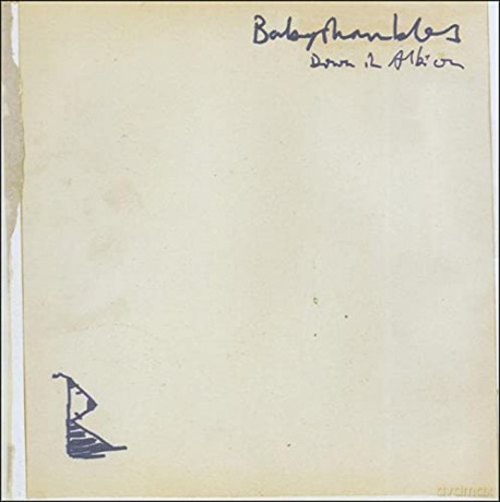 Babyshambles: Down in Albion [CD]