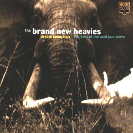 The Brand New Heavies: Dream Come True/Best Of [CD]