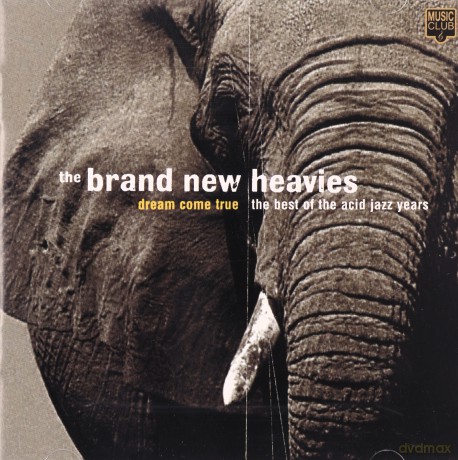 The Brand New Heavies: Dream Come True/Best Of [CD]