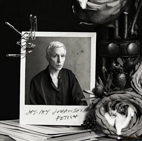 Jay Jay Johanson: Fetish [CD]