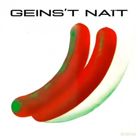 Geins'T Nait: Gn [CD]