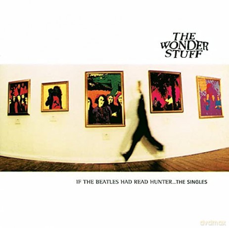 The Wonder Stuff: If the Beatles Had Read Hunter ... the Singles [CD]