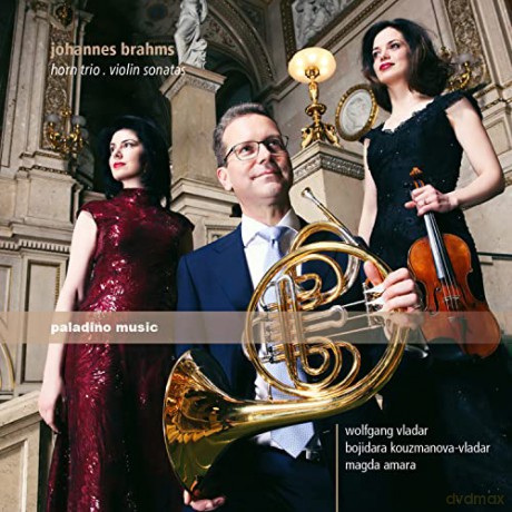 Johannes Brahms: Johannes Brahms: Horn Trio/Violin Sonatas [CD]