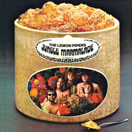 Jungle: Jungle Marmalade [CD]