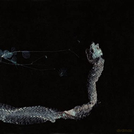 Tenhi: Maaaet [CD]