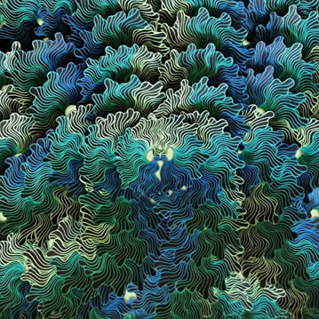 Izangoma: Ngo Ma [CD]