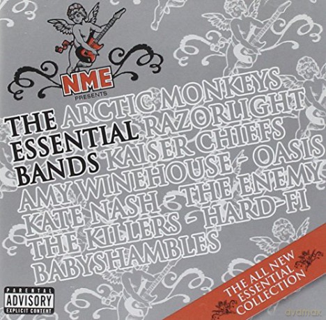 Nme Presents Essential Bands [2CD]