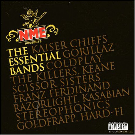 Nme Presents the Essential Bands [2CD]