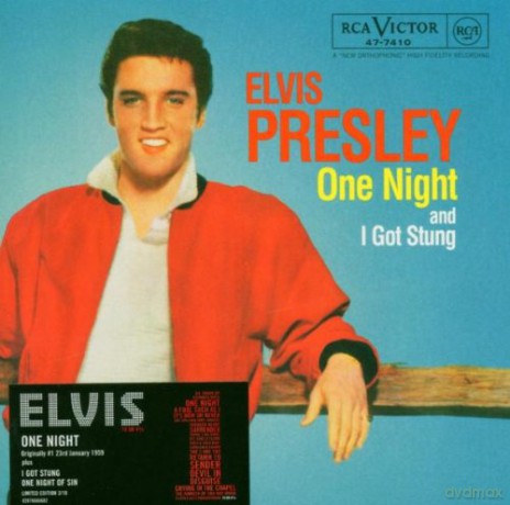 Elvis Presley: One Night [CD]