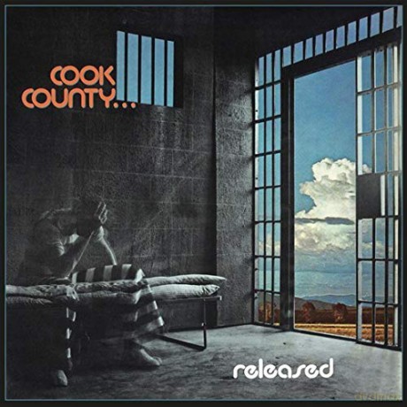 Cook County: Released [CD]