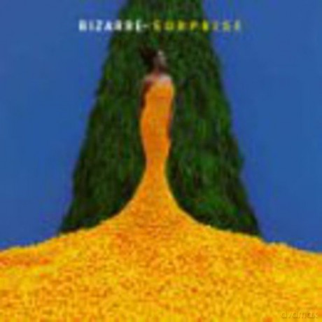 Bizarre Inc: Surprise [CD]
