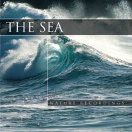 The Sea: Nature Recordings [CD]