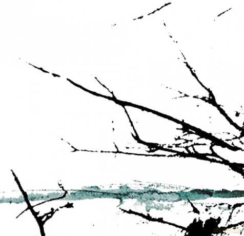 Tenhi: Vare [CD]