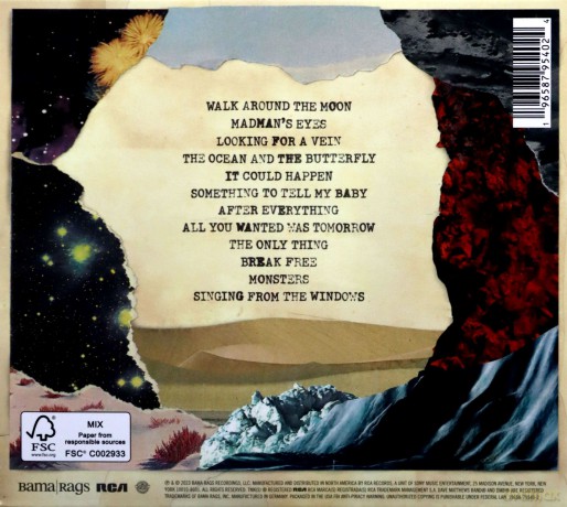 Dave Matthews: Walk Around The Moon [CD]