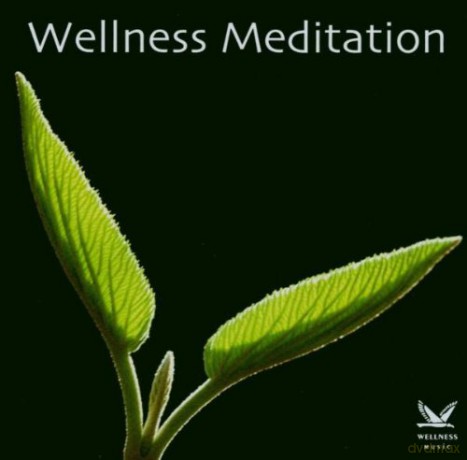 Wellness Meditation [CD]