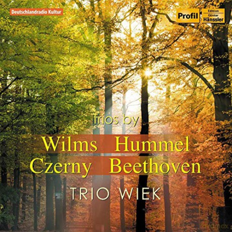 Christina Fassbender: Wilms/ Hummel/ Czerny: Trios [CD]