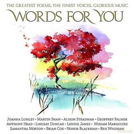 Words for You [CD]