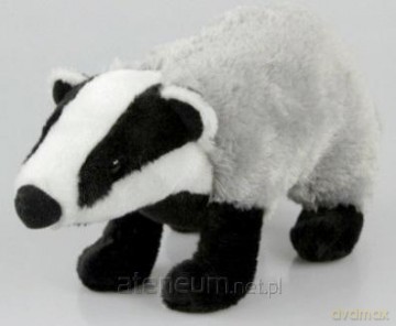 Borsuk 32 cm