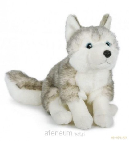 Husky 25 cm
