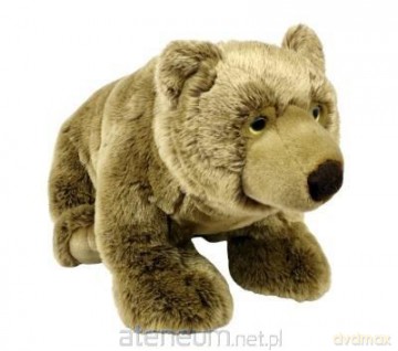 Niedźwiedź siedzący 62 cm
