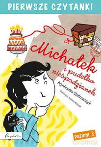 Pierwsze czytanki. Michałek i pudełko niespodzianek - Agnieszka Stelmaszyk [KSIĄŻKA]