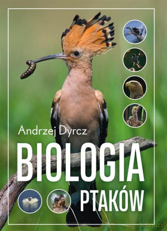 Biologia ptaków - Andrzej Dyrcz [KSIĄŻKA]