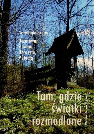 Tam, gdzie świątki rozmodlone [KSIĄŻKA]