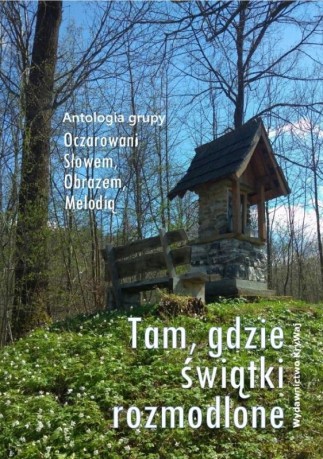Tam, gdzie świątki rozmodlone [KSIĄŻKA]