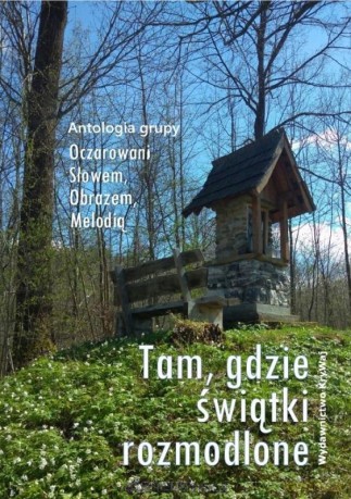 Tam, gdzie świątki rozmodlone [KSIĄŻKA]