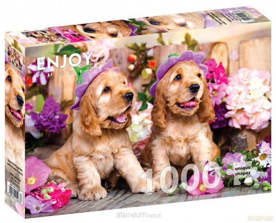 ENJOY 1000 el. Szczenięta rasy Cocker Spaniel [PUZZLE]