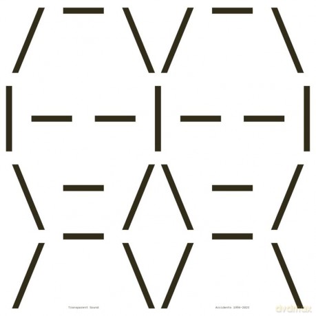 Transparent Sound: Accidents 1994-2003 [Winyl]