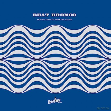 Beat Bronco Organ Trio: Another Shape Of Essential Sounds [Winyl]