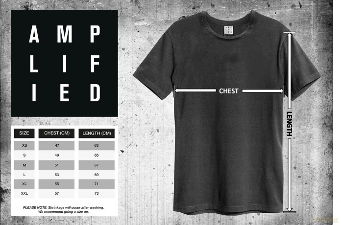 Foo Fighters: Foo Fighters Camper Van Amplified Vintage White Small T Shirt
