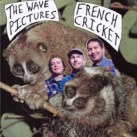 Wave Pictures: French Cricket [Winyl]
