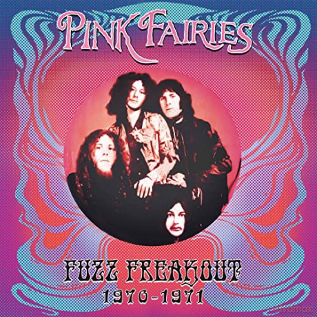 Pink Fairies: Fuzz Freakout 1970-1971 [Winyl]