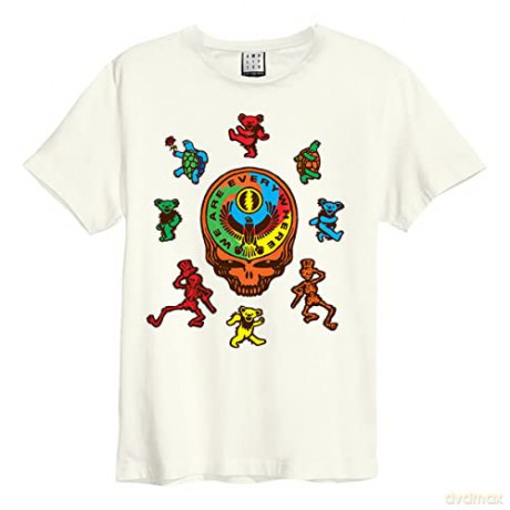Grateful Dead: Grateful Dead - We Are Everywhere Amplified Medium Vintage White T Shirt