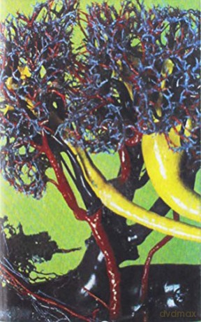 Tomorrows Tulips: Harnessed To Flesh [KASETA]