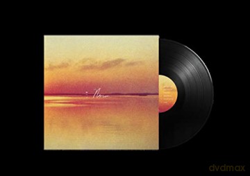 Andy Shauf: Norm [Winyl]