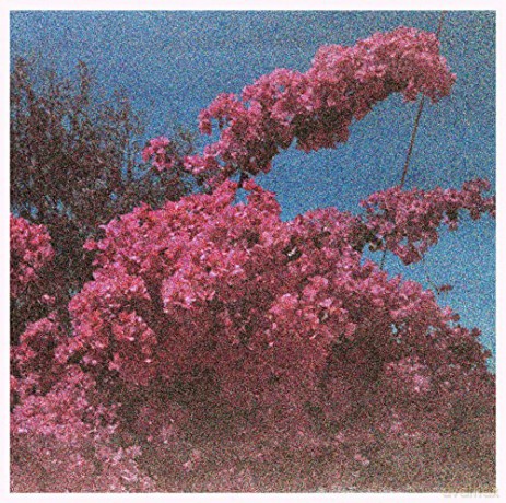 Elisabeth Klinck: Picture A Frame [Winyl]