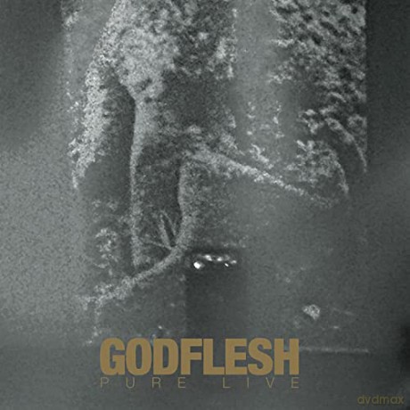 Godflesh: Pure: Live (Gold/Black/White Splatter) [Winyl]